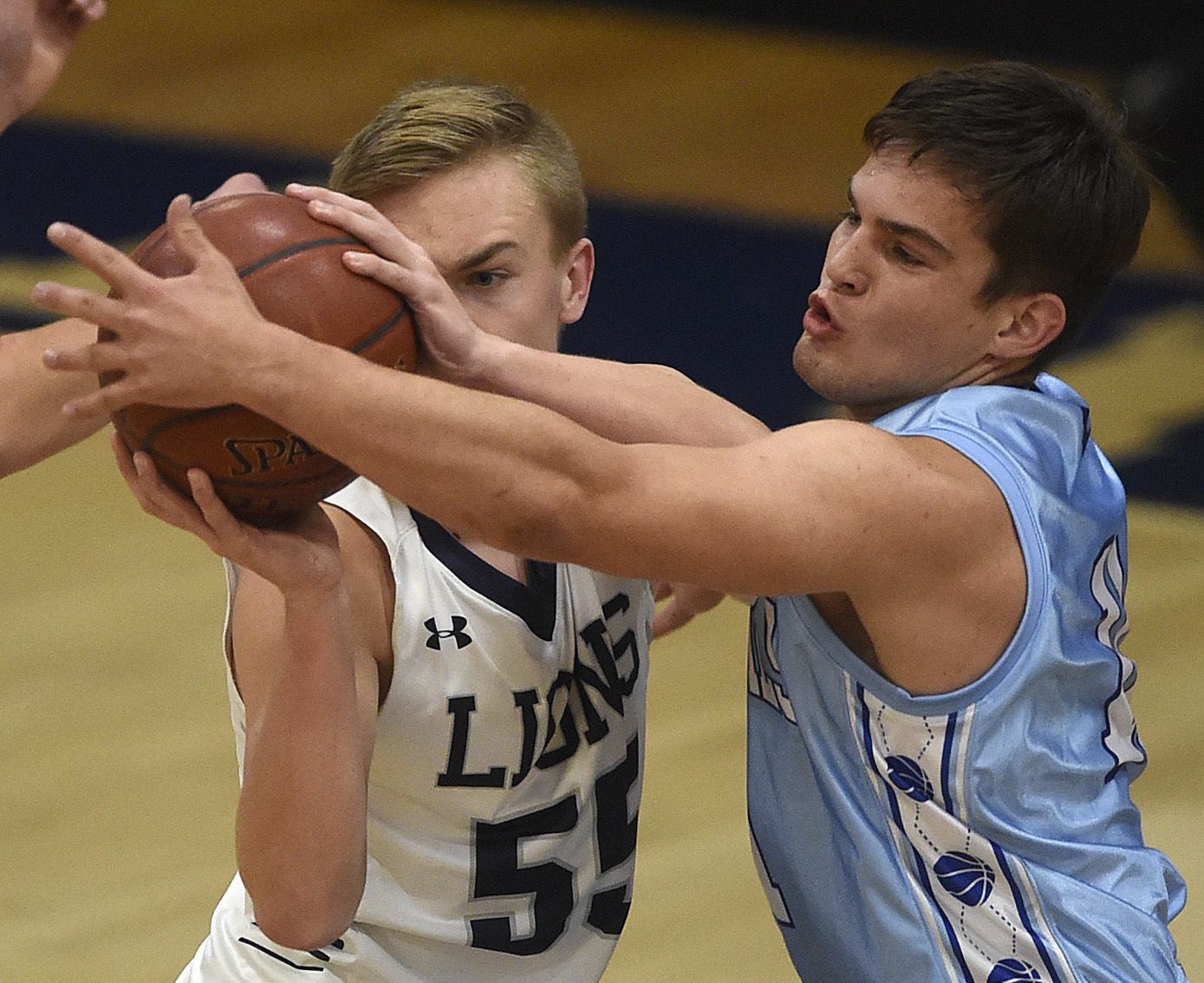 Boys Basketball - Dietrich vs. LHC